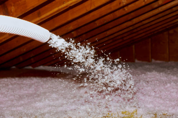Best Professional Insulation Contractor  in Little River Academy, TX