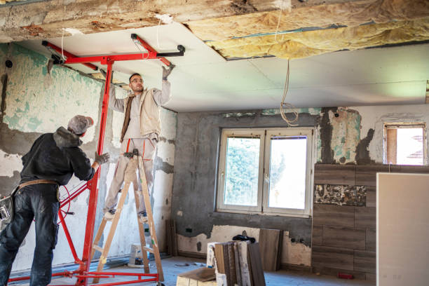 Best Insulation for New Construction  in Little River Academy, TX