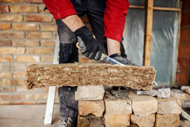 Best Insulation Contractor Near Me  in Little River Academy, TX