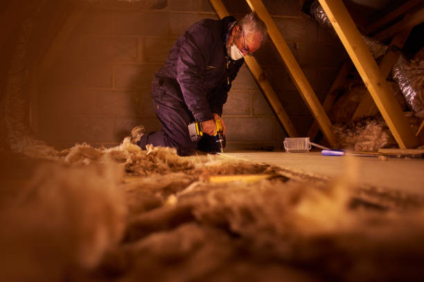 Best Insulation Replacement Services  in Little River Academy, TX